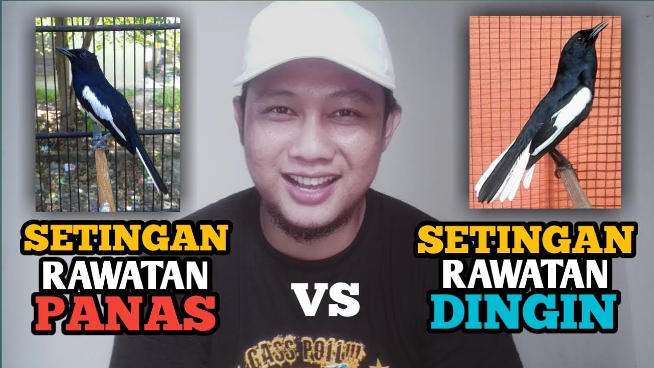 Setingan Rawatan Panas Dan Rawatan Dingin Untuk Kacer