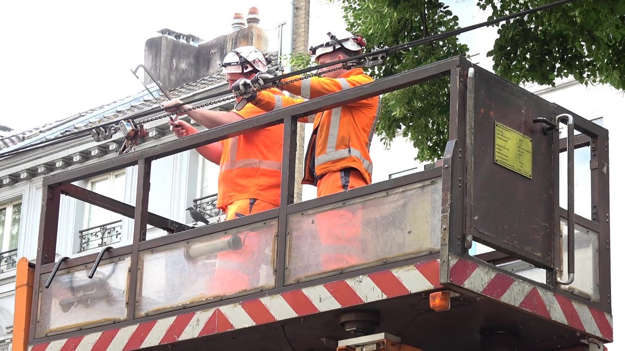 Feuerwehr beschädigt Straßenbahnoberleitung beim Erden bei Tierrettung in Bonn am 06.06.25 + O-Ton