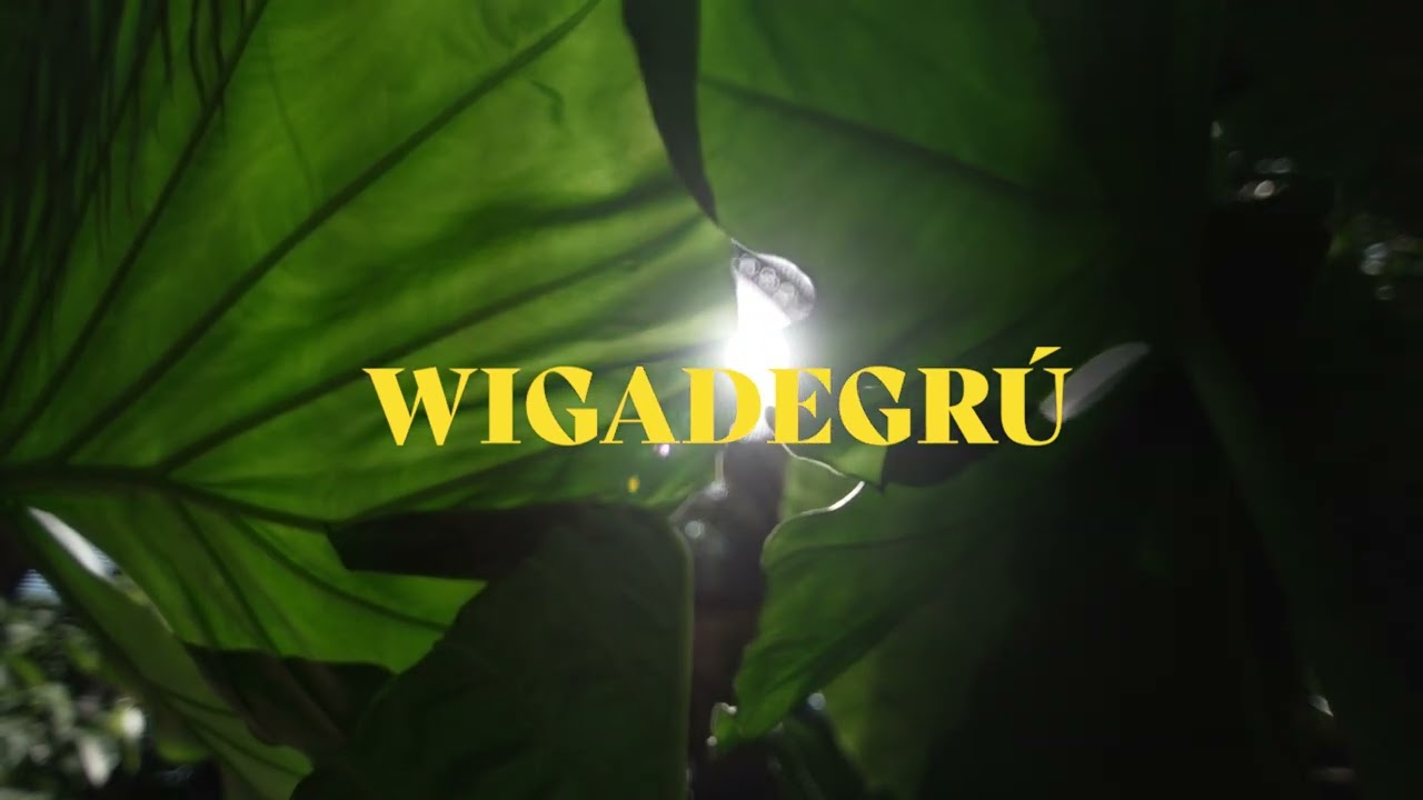 JULI GIULIANI, MABREEZEE & KARMASOUND - WIGADEGR&Uacute; [Ginga]
