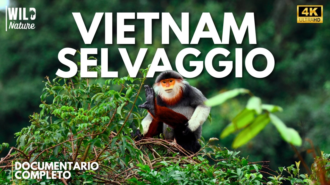 VIETNAM SELVAGGIO – Un Impero di Istinto e Sopravvivenza | Documentario Completo