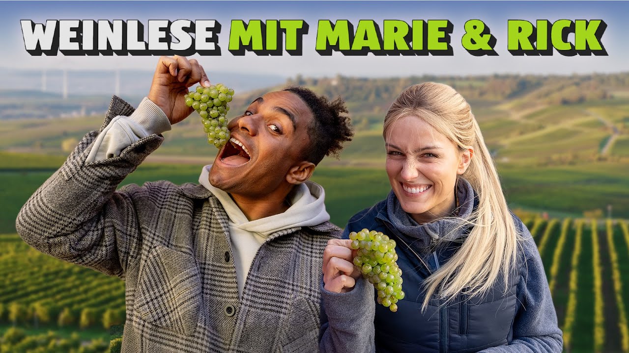 Von der Traube zum Bio-Wein 🍇 @RickAzas & @MarieHoffmann97 bei der Weinlese PART 1