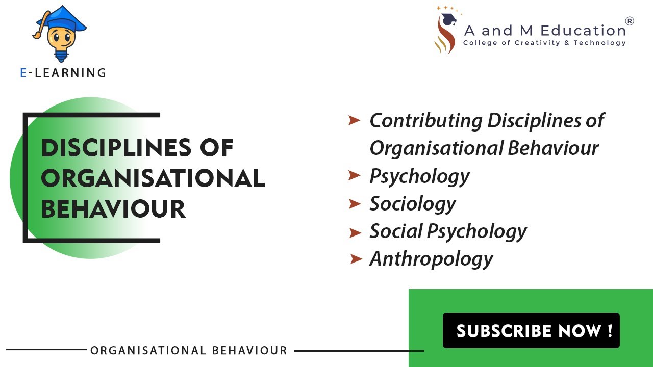 Contributing Disciplines of Organisational Behaviour | Organisational Behaviour | eLearning Video