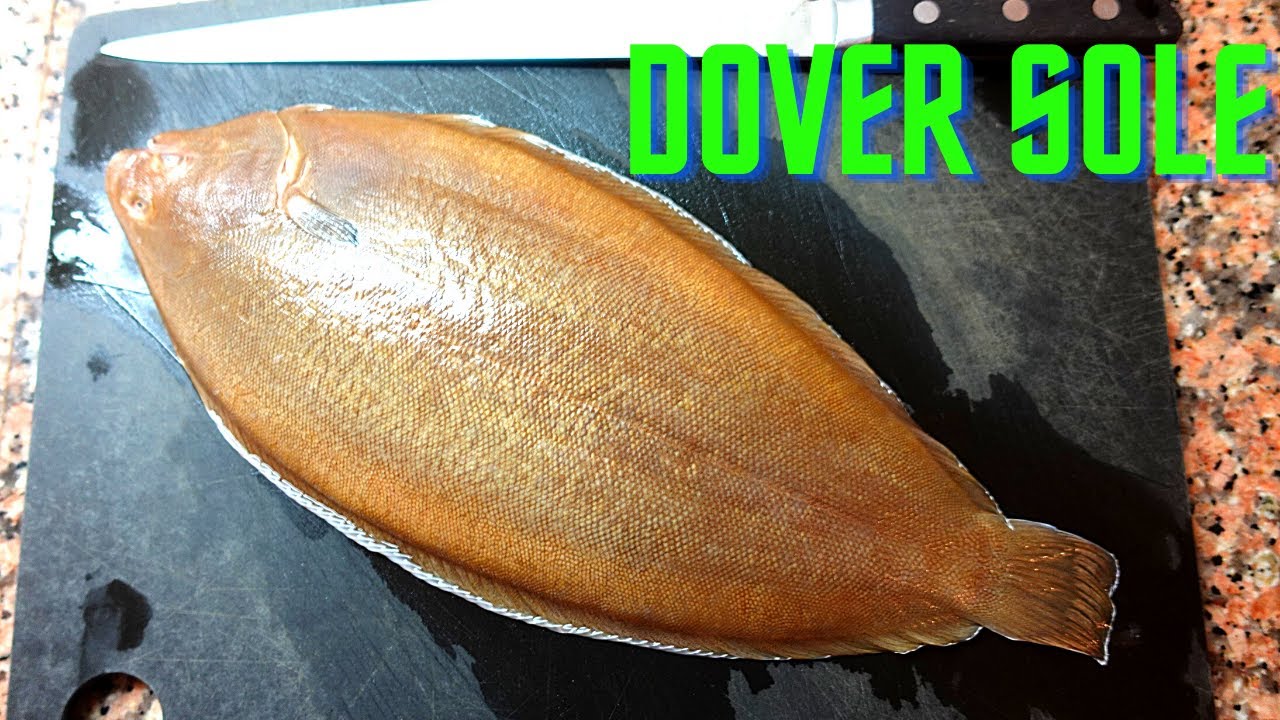 How to clean a Dover sole! 🔪