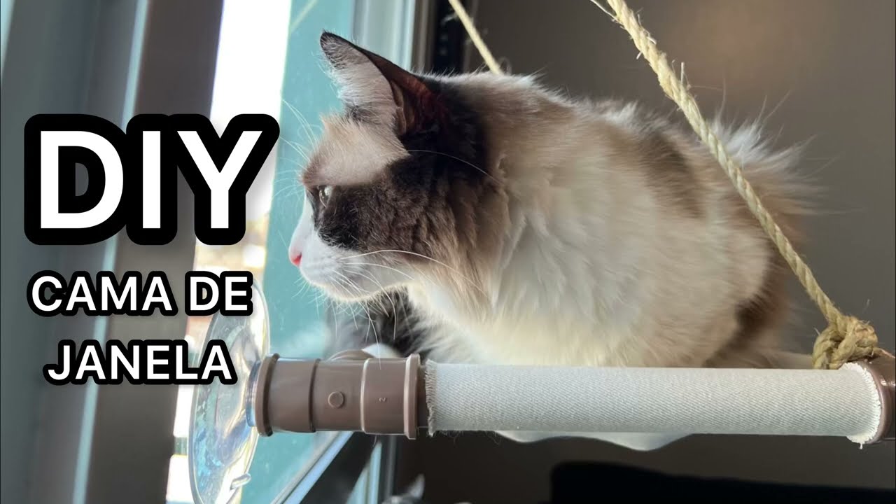 CAMA DE JANELA COM VENTOSAS PARA GATOS - DIY - DO IT YOURSELF