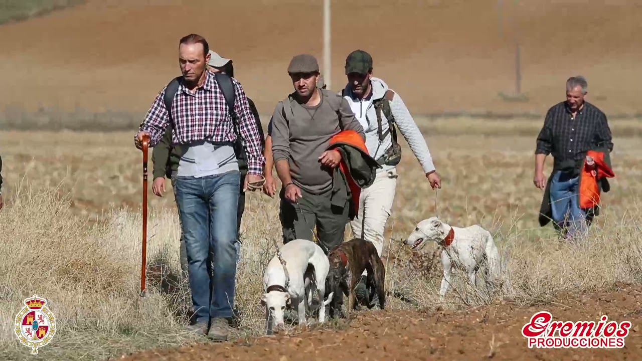 Campeonato local de Nava del Rey 2021 (parte1). Liebres en campo.