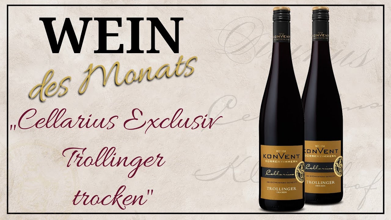Cellarius Exklusiv Trollinger trocken | Wein des Monats Dezember | 2023