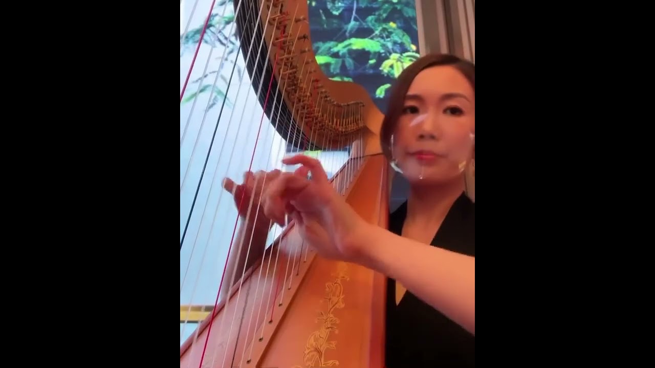 Gymnopedie No. 1 - Harp Solo