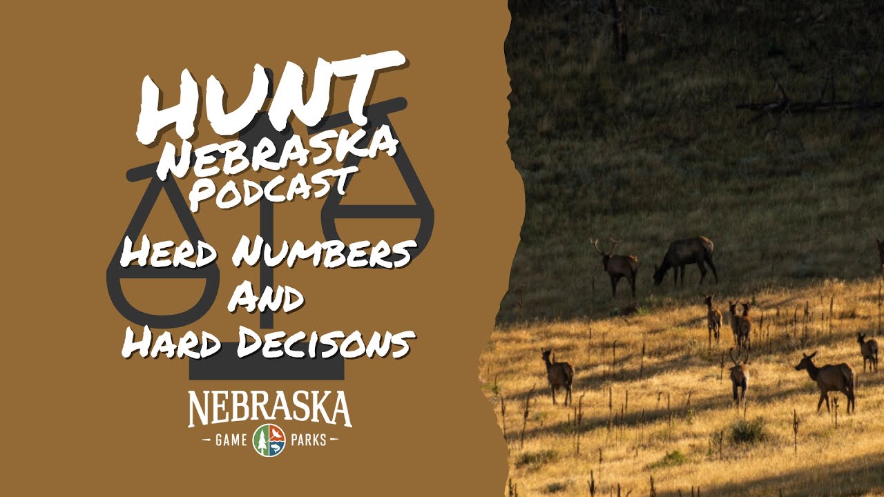 Herd Numbers and Hard Decisions