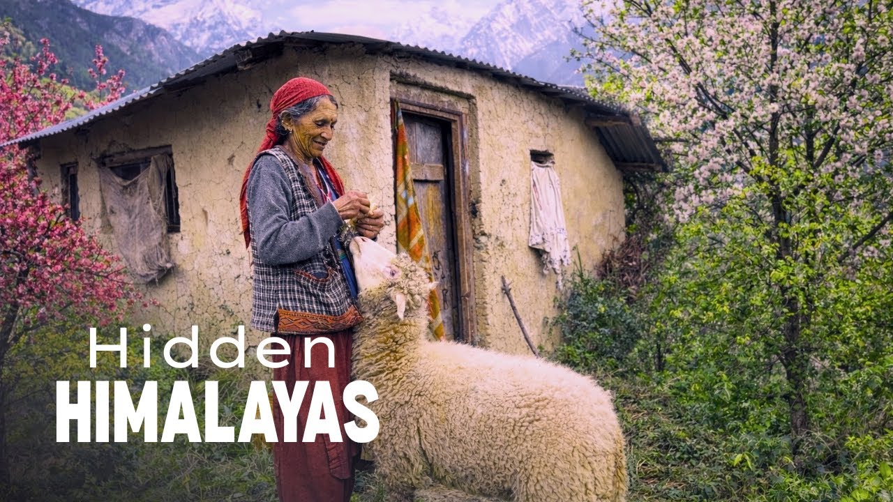 A Day in the Life of a Himalayan Villager | Himachal Pradesh India Documentary 