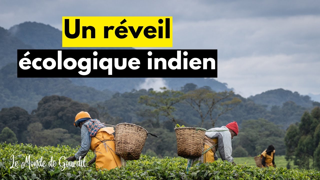 Révolution Agricole en Inde : Cette Technique Sauve des Vies et la Planète