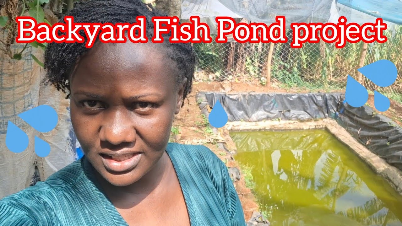 Small-Scale Fish Pond for Domestic Use