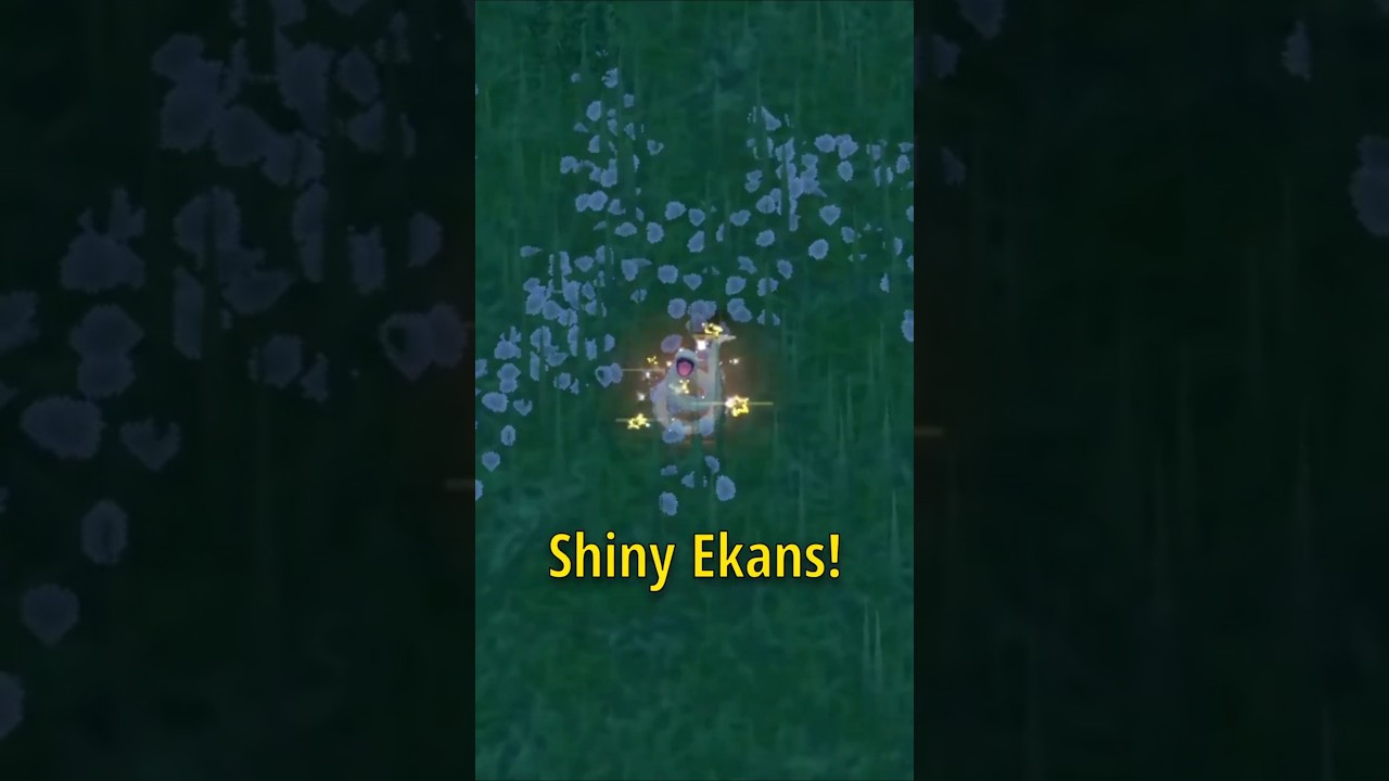 FAST way to Shiny Hunt without a SHINY SANDWICH in Pok&eacute;mon Scarlet & Violet!