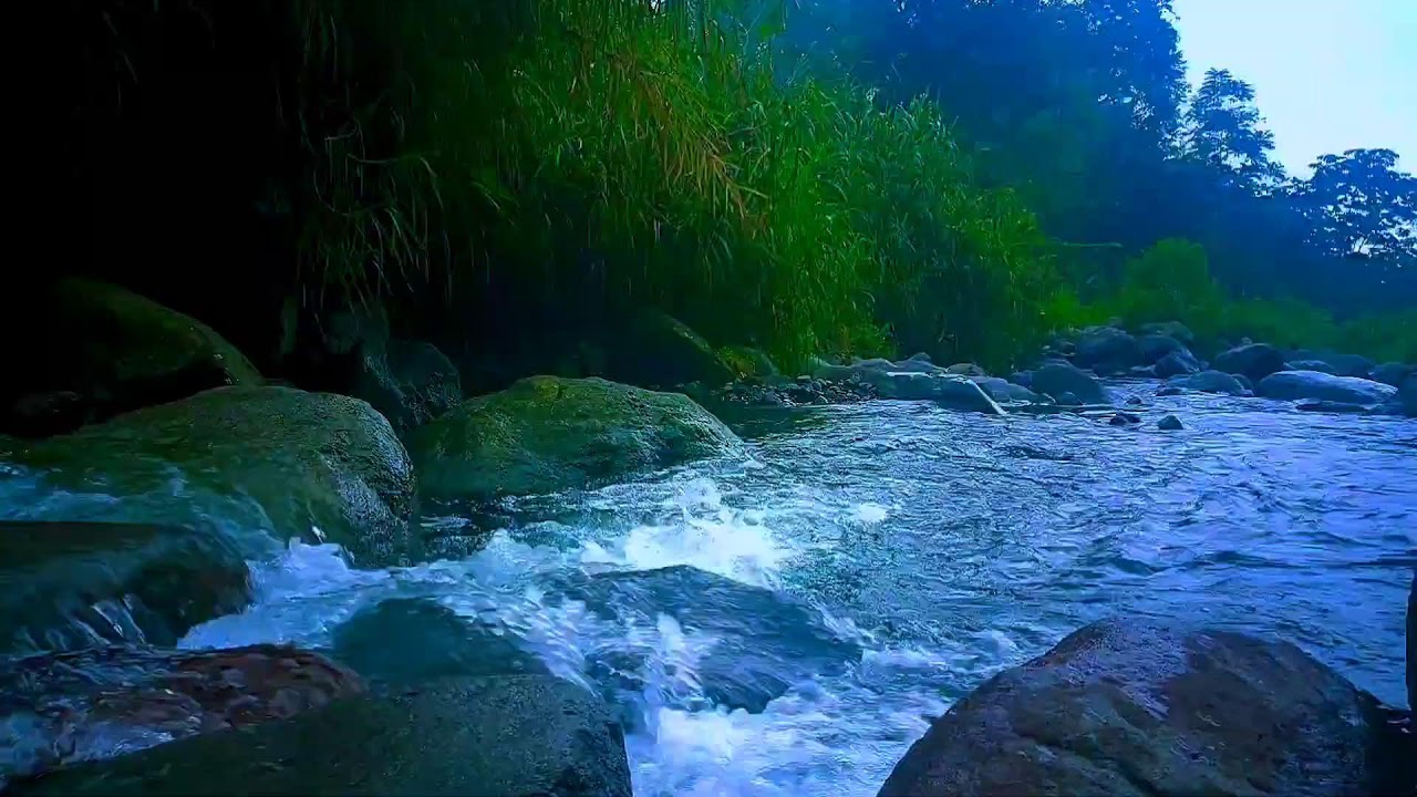 🌊 Soft Flowing River ASMR Sounds for Deep Sleep, Relaxation & Mental Calm