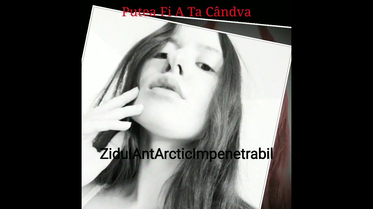 ZidulAntArcticImpenetrabil NDV