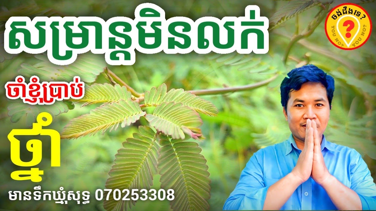 ថ្នាំគេងមិនលក់ Best Khmer Traditional Medicine for sleeping well 2022