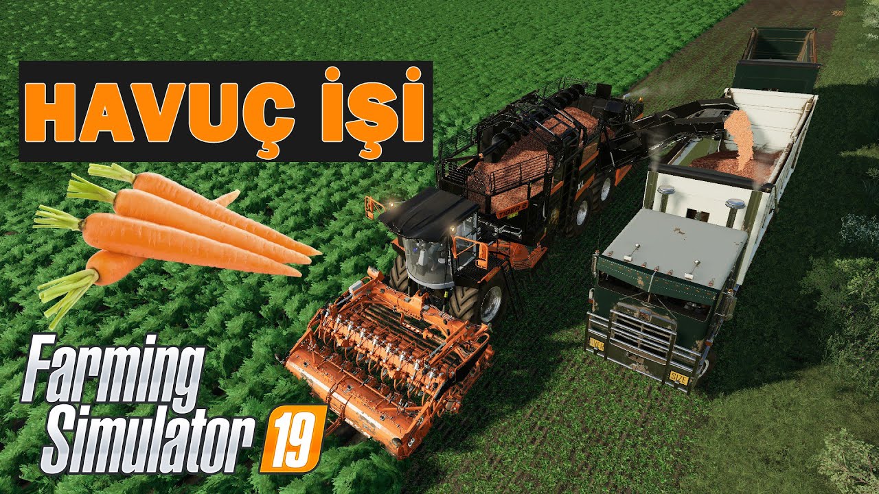 HAVUÇ İŞİNDE PARA VAR MI? | HAVUÇ EKTİK, BİÇTİK, SATTIK | FARMING SIMULATOR 2019 MP BÖLÜM 05