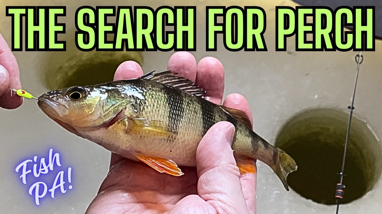 Ice Fishing for Perch in PA: Beginner Tips & Safety First!