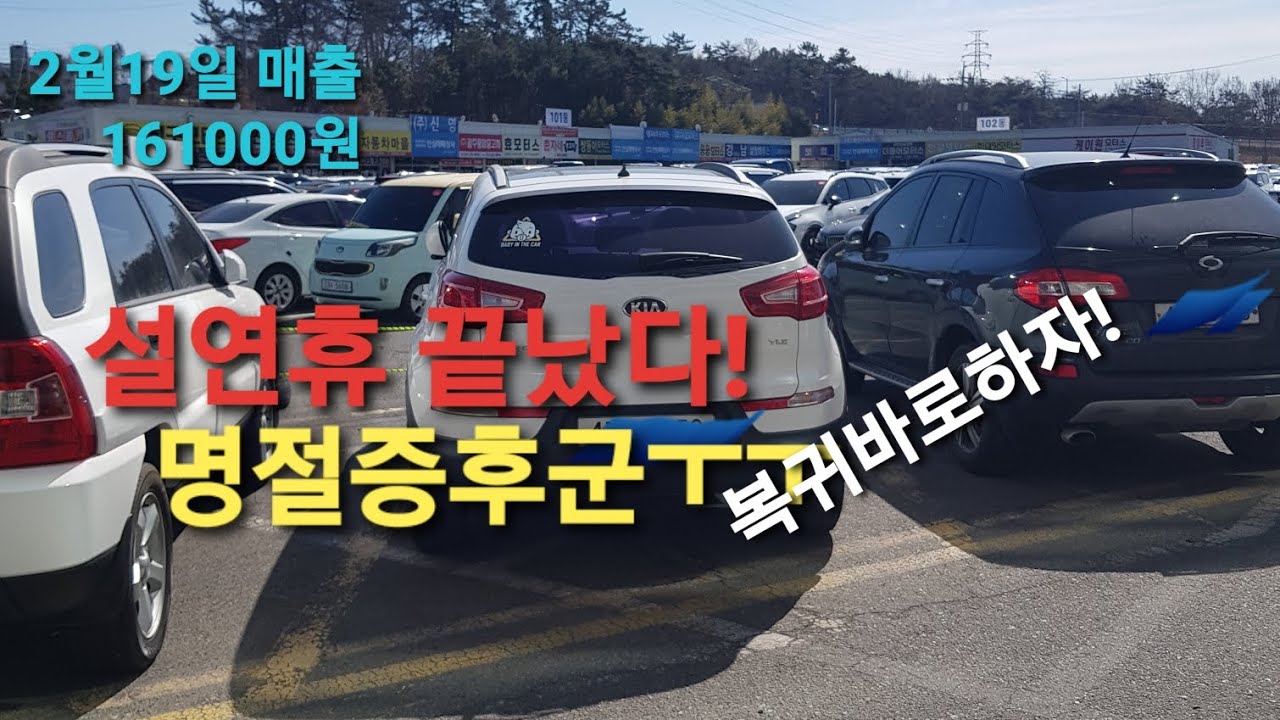 [탁송의신]경상권 기사님들 복귀만 노리면 바보됩니다