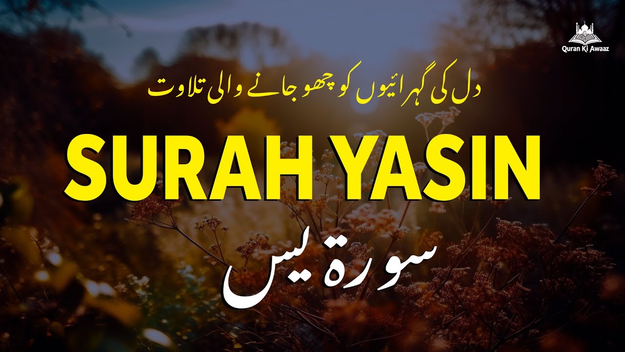 💖 سورۃ یٰسٓ 🌿 دل کو سکون دینے والی تلاوت | رحمت، برکت اور ایمان کی روشنی سے بھرپور تلاوتِ قرآن
