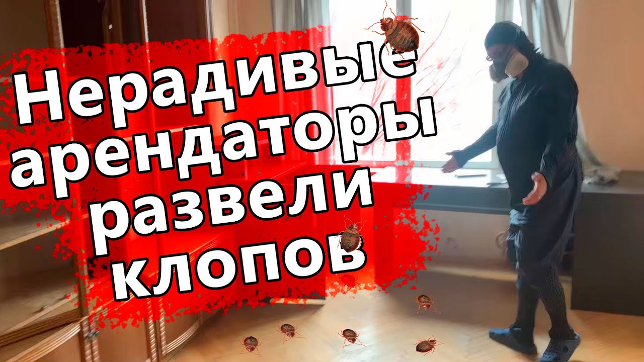 Когда сдаете квартиру, смотрите, кому ее сдаете, что бы потом не оказаться в квартире с клопами