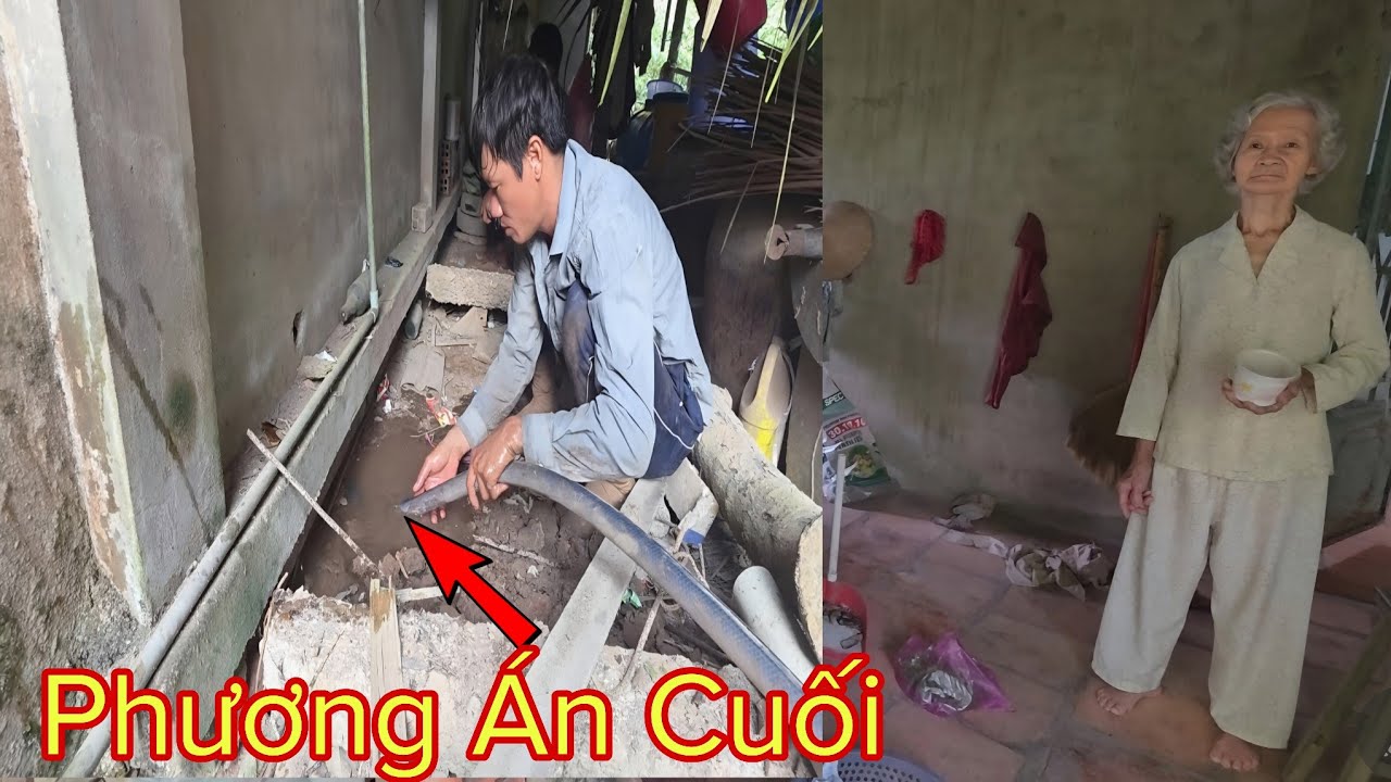 Dùng Đủ Cách Giúp Cụ Bà Thu Phục Cặp Rắn Hổ Mang Ẩn Nấp Dưới Nền Nhà Suốt Nhiều Năm||Giang Ca SB# 76