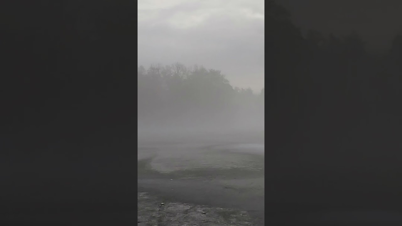 Frog Lake in the Fog #explore #live #animals #wreckingcrew #trending #snow #youtube #farming #tv