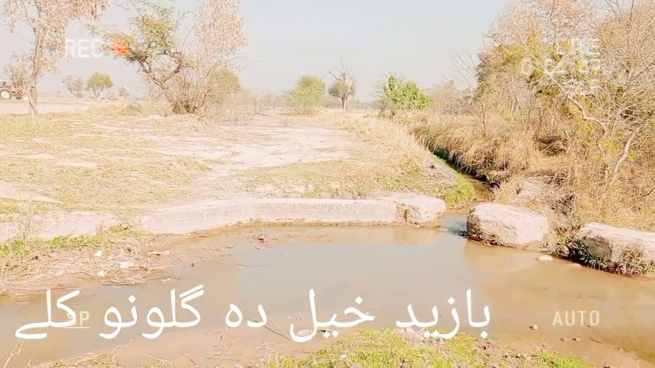 Bazid Khel beauty