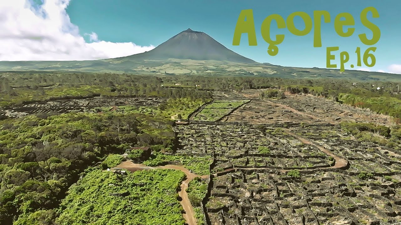 Ilha do Pico, São Roque, Caça à Baleia - Açores Ep.16 | Rituais
