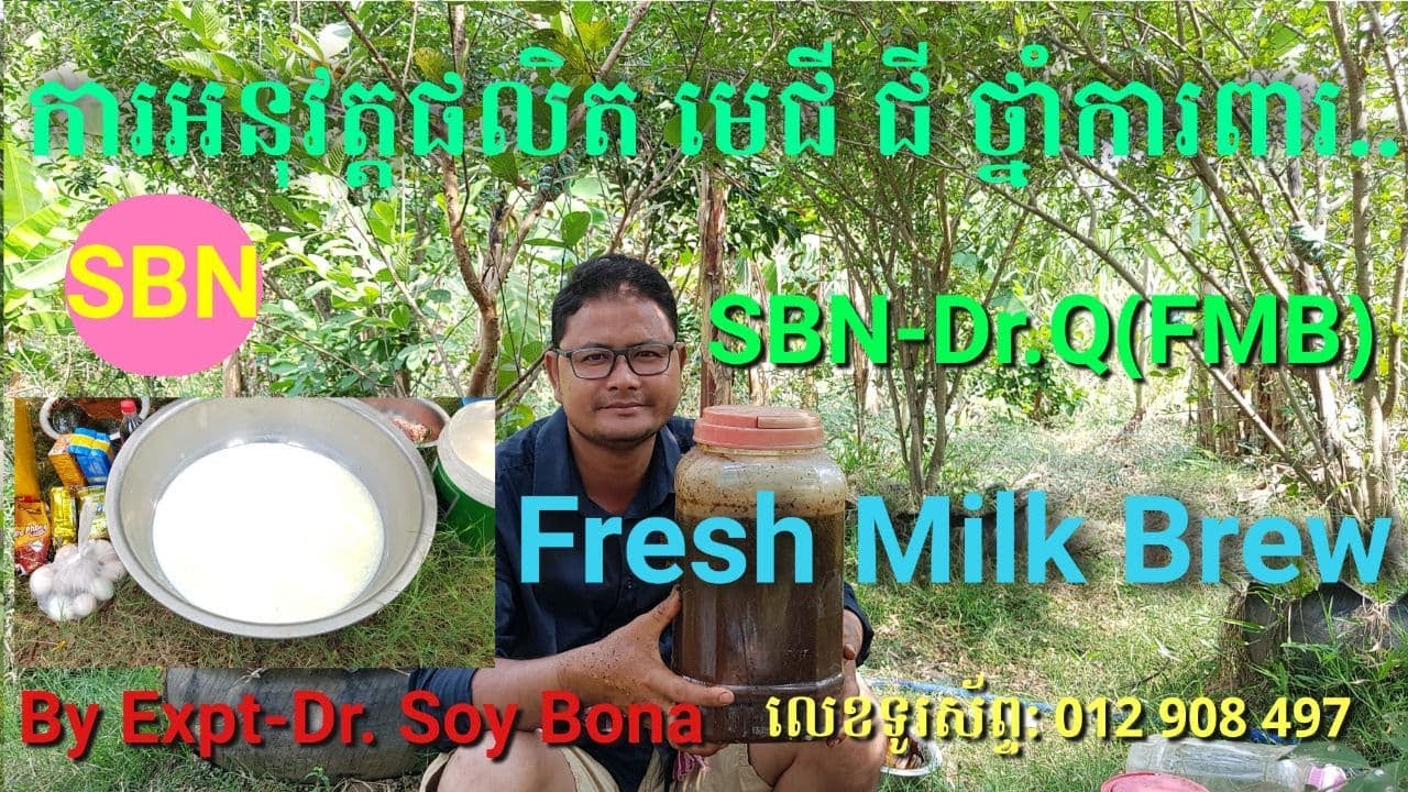 ការអនុវត្តផលិត មេជី ជី ថ្នាំការពារ ព្យាបាល...SBN-Dr.Q (FMB) : Fresh Milk Brew |Soy Bona|