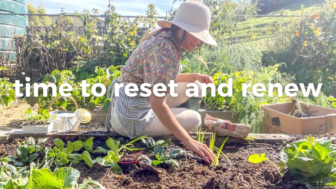 A Quiet Day In My Organic Homestead Vegetable Garden | Simple Living