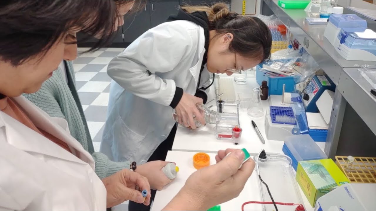 The Topic: Medical Biotechnology