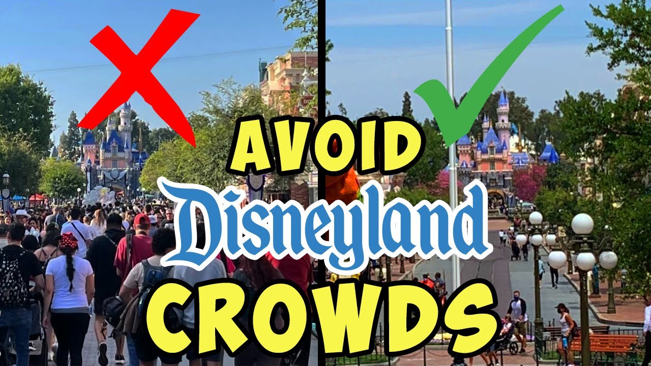 Least Crowded Times to Visit Disneyland! When to Visit in 2024