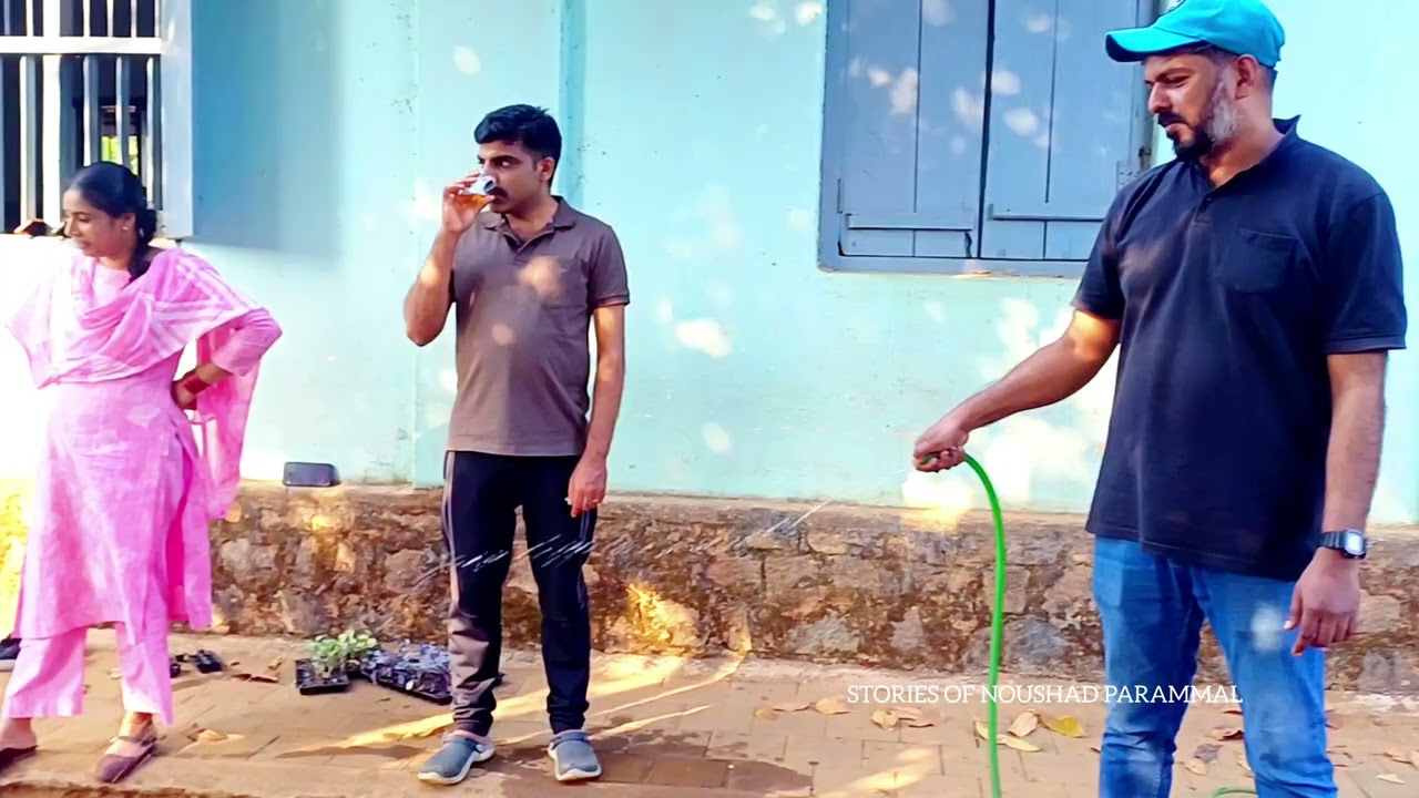 പറളിക്കുന്ന് സ്കൂളിൽ പി ടി എ യും അധ്യാപകരും ഒരുക്കിയ പച്ചക്കറിതോട്ടം...
