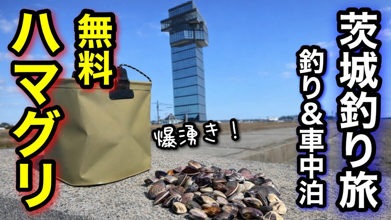 茨城釣り旅｜無料の潮干狩りでハマグリ爆湧きスポットはココ！釣り＆ハマグリ車中泊飯