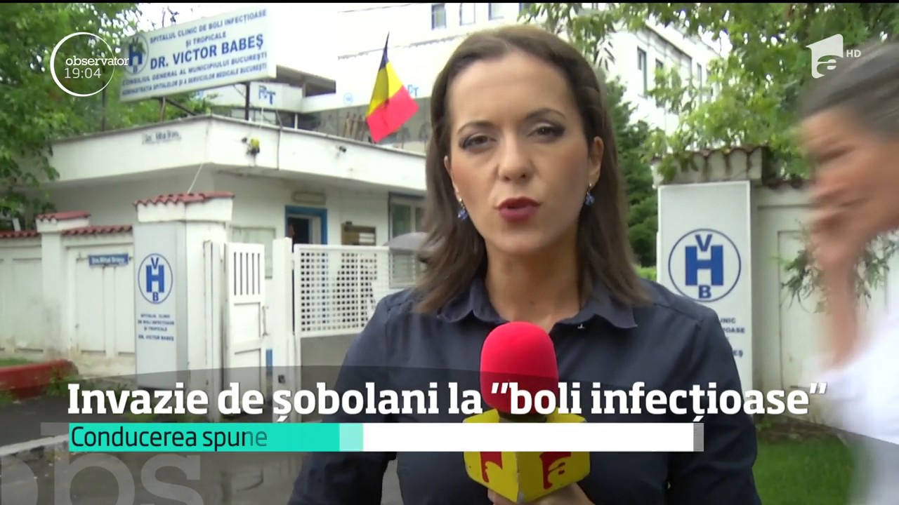 Invazie de șobolani la Spitalului de Boli Infecţioase Victor-Babeş din Capitală!
