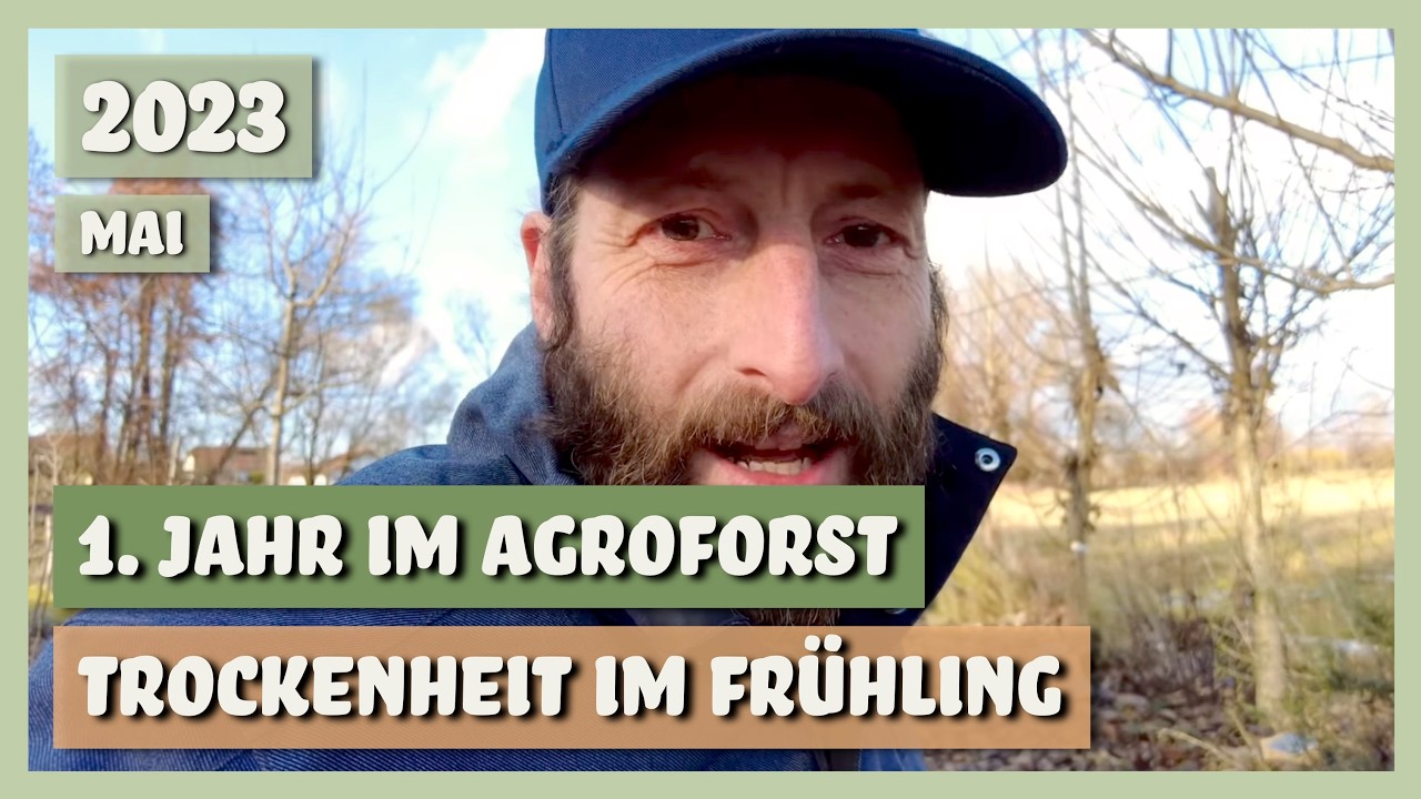 Syntropischer Agroforst im ersten Jahr - Trockenheit im Mai | Sortengarten | VLOG 31.05.2023