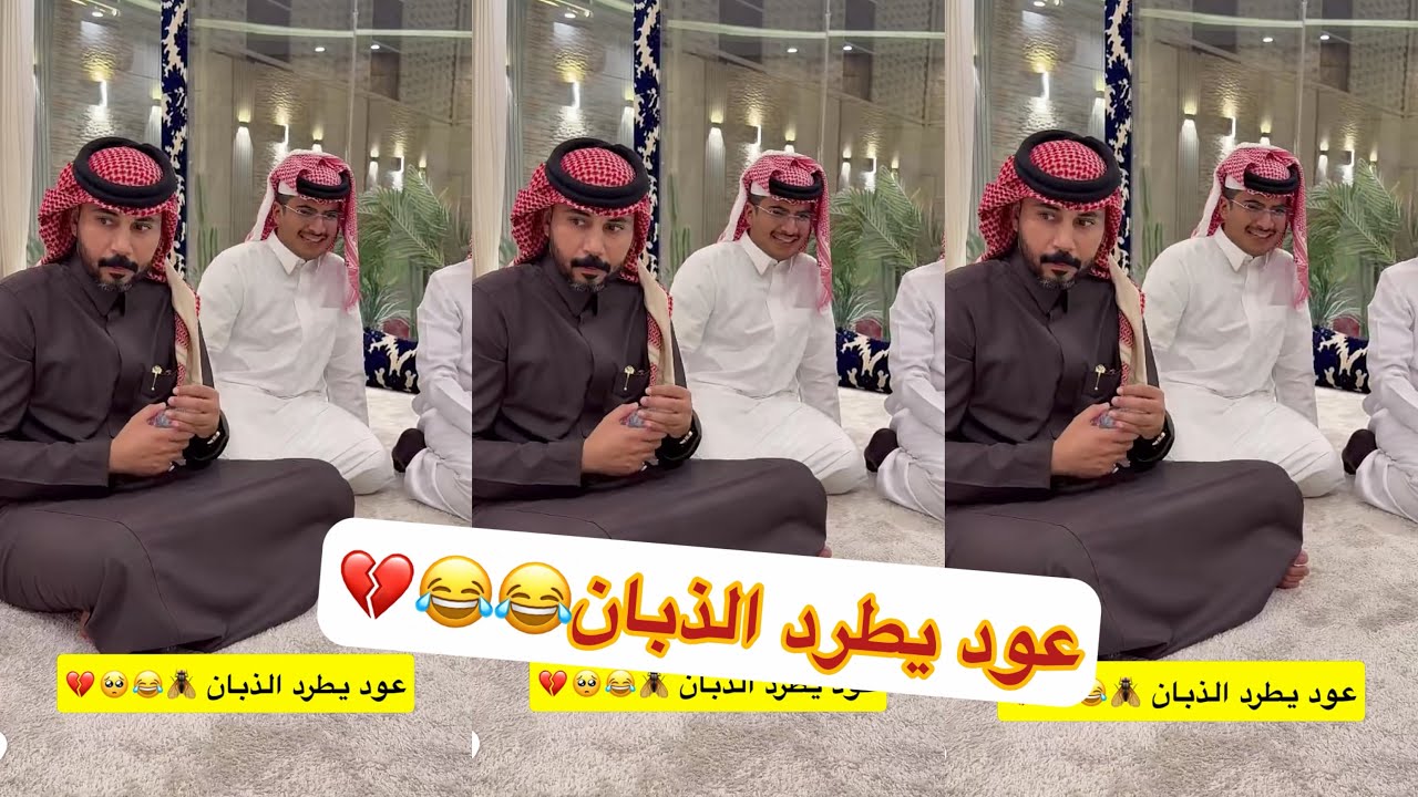 ورع ابو حشر راح عقوبه على ابوة وعلينا الله يصلحه😂😂😂#سنابات #غازي_الذيابي 