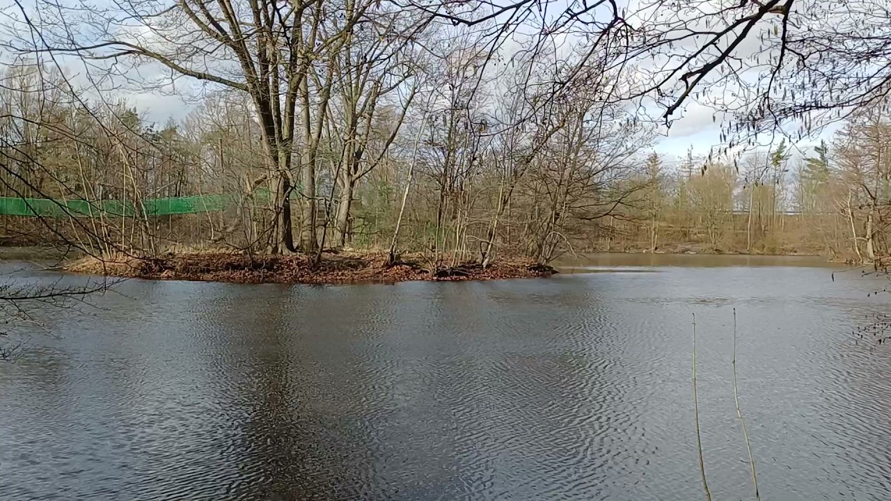 Kahnteich Paderborn 28.02.2026