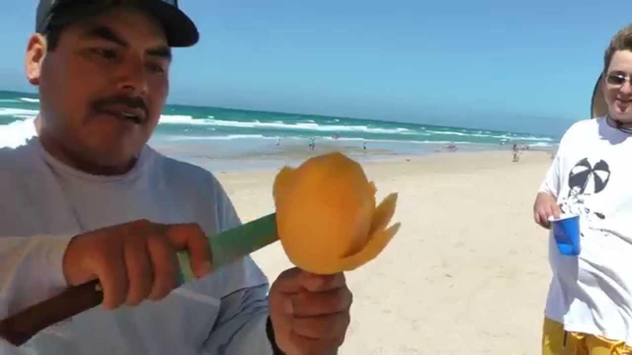 Mango flower on a stick Mexico Rocky Point beach