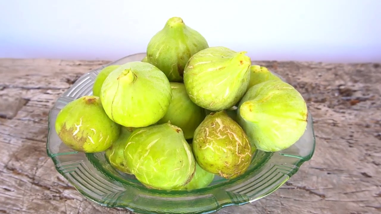 Les figues i la seva elaboració - Units pel nostre parlar 2024