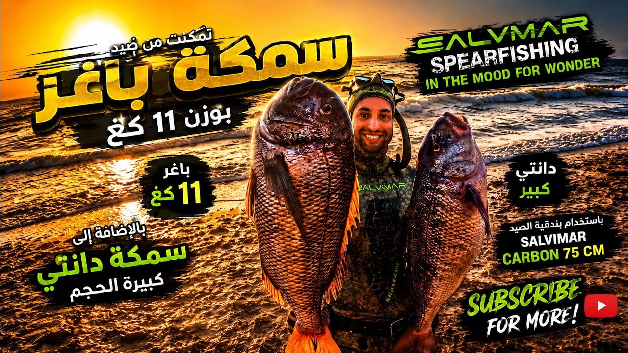 سمكة دانتي بمسدس ٧٥سنتيمتر!! Snapper with 75cm speargun