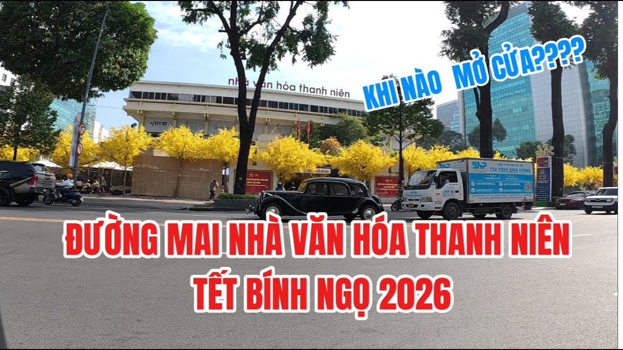Đường mai tết đẹp lung linh ở Nhà văn hóa Thanh niên khi nào đón khách?