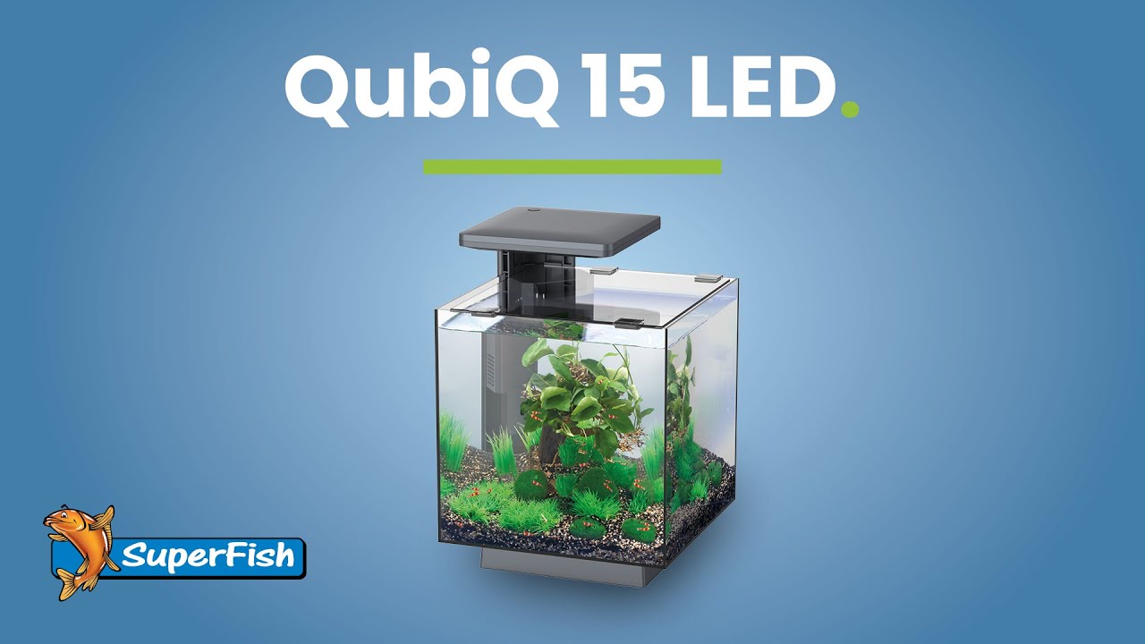 SuperFish | QubiQ 15