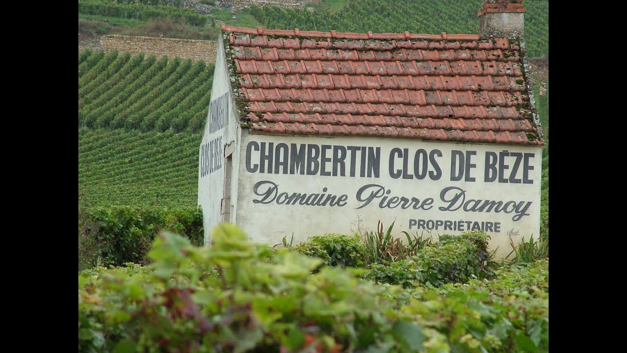 Gevrey Chambertin: Grand Cru, Premier Cru, Villages