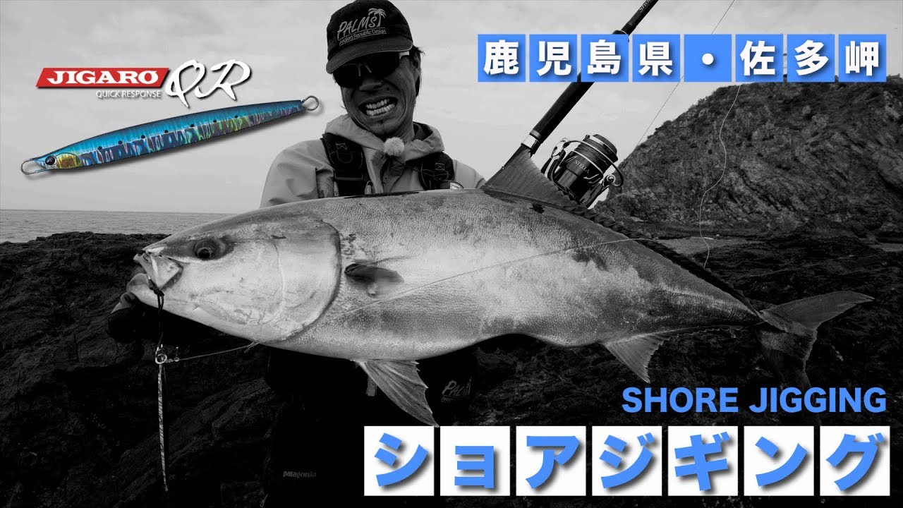 ジガロQRで狙う10kgブリ