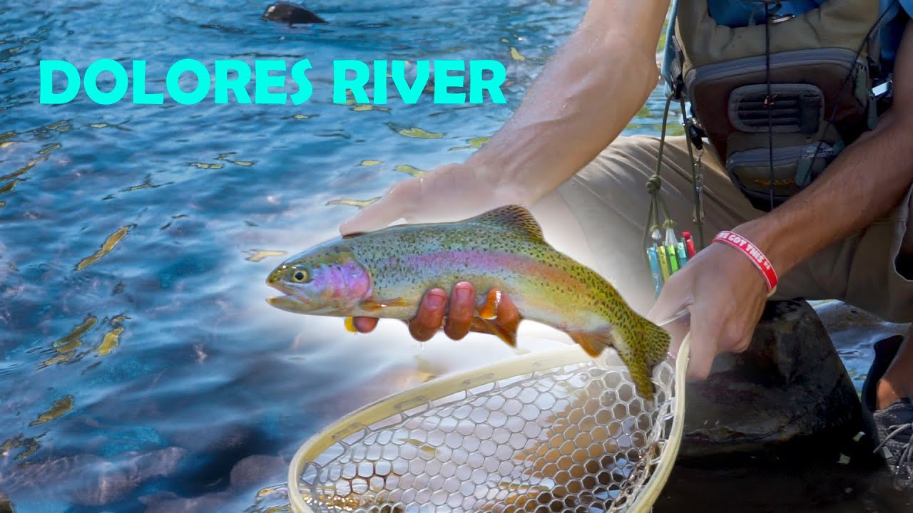 Colorado Fly Fishing | Durango, Colorado