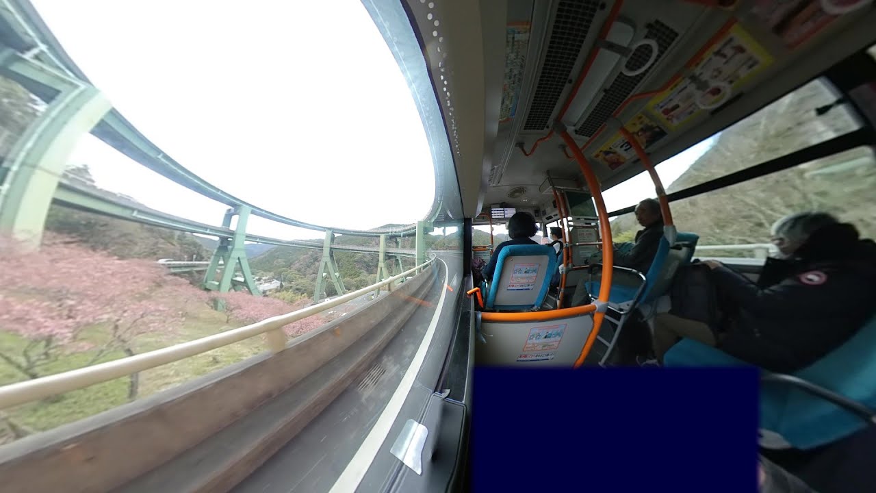 【河津駅ｰ修善寺駅】東海バス車窓【湯ヶ島･天城峠線 左側】