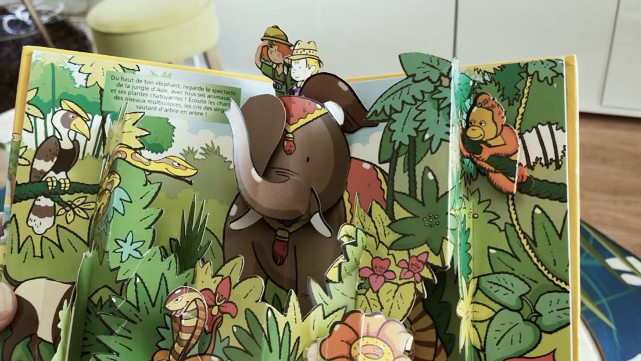 Découverte d'un pop up ou livre à système