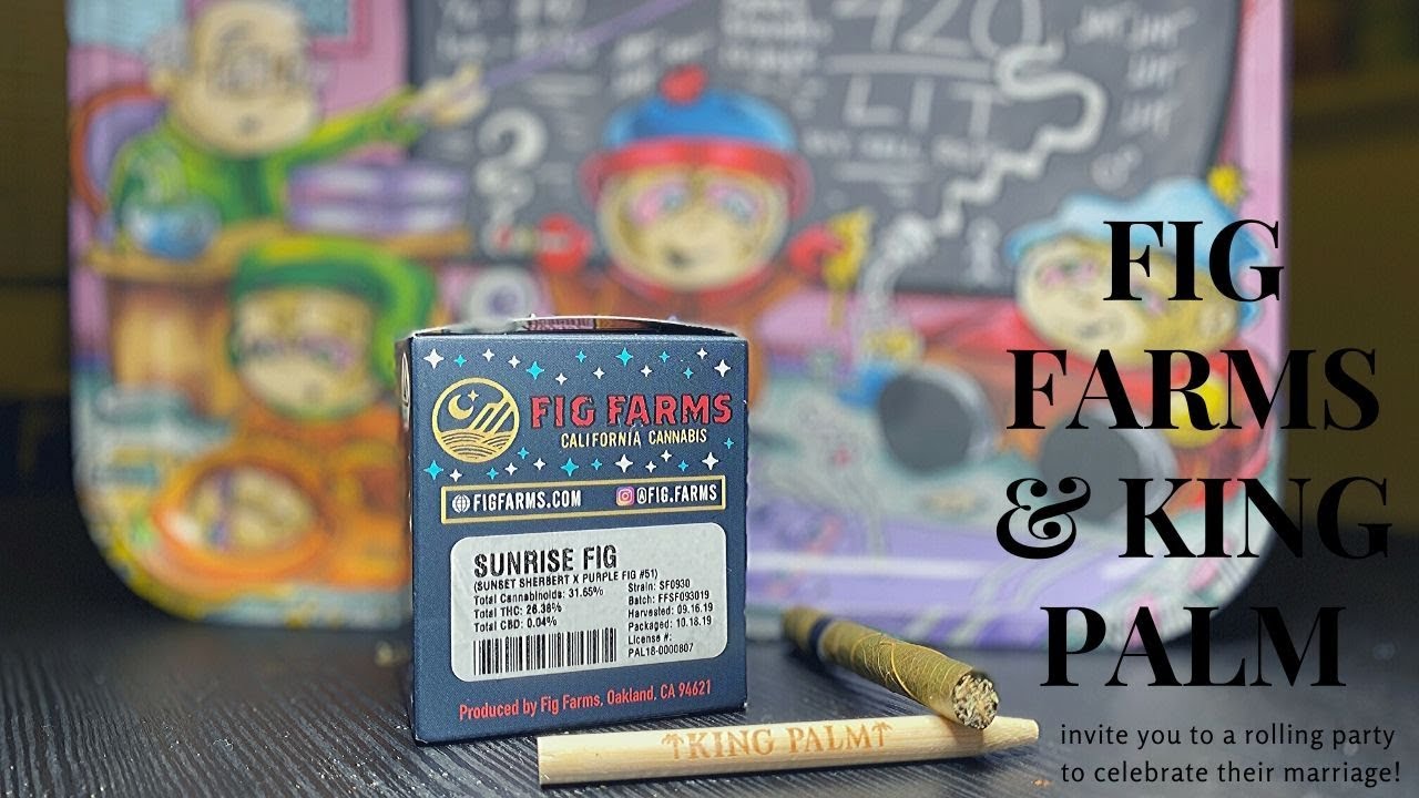 FIG FARMS X KING PALM