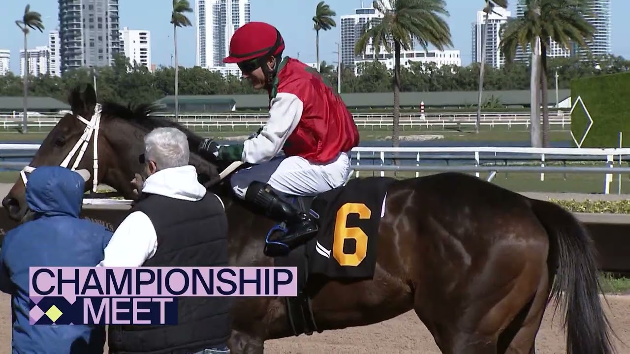Gulfstream Park Replay Show | February 1, 2026